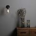 Phansthy Industrial Wall Sconce Light 1-Light Black Sconce with 5.5 Inches Dome Clear Glass Shade