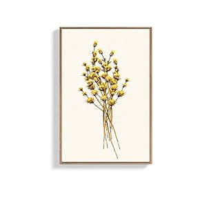 Framed Canvas Wall Art for Living...