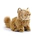 Nat and Jules Small Persian Cat Friend Muted Orange Children's Plush Stuffed Animal Toy