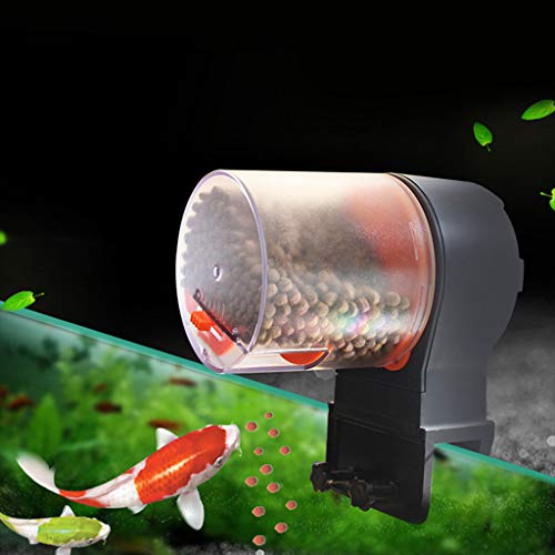 goldfish auto feeder