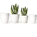 Mkono 6 Pack Plastic Plant Pots for Plants with Saucers, 5.5
