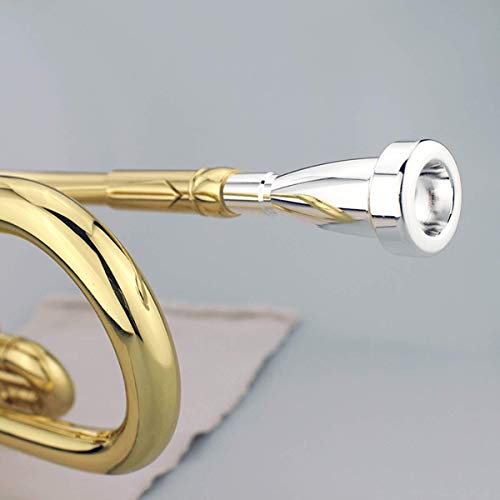 Trumpet Mouthpiece 3C 5C 7C (3 Pack) with Box and Microfiber Cleaning Cloth Compatible with Yamaha Bach Conn King Replacement Musical Instruments Accessories, Silver Plate (Bullet Shape)