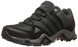 adidas Outdoor Men's Ax2 Gore-Tex Hiking Shoe, Dark Shale/Black/Light Scarlet, 9 M US