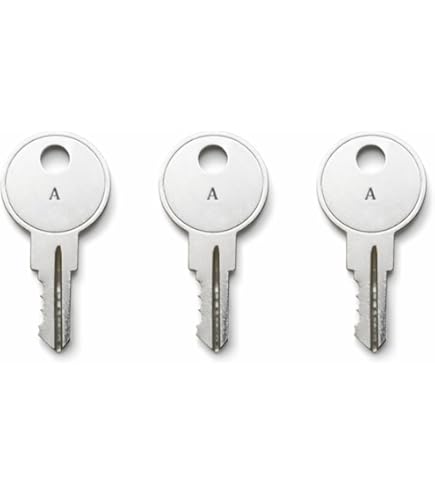 Amazon.com: Sentry Safe, Schwab File Cabinet Replacement Keys Cut