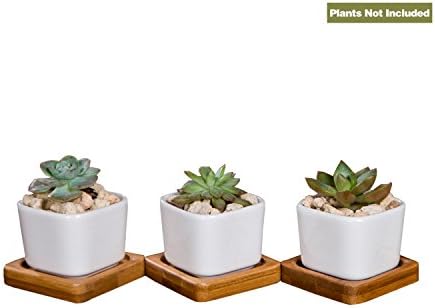JDWNF 2 Inch Mini Square Plant Pot, White Ceramic Flower Pots/Succulent Pots for Window Boxes (Pack of 3)