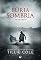 Livro Fúria Sombria (Hades Hangmen Livro 5)