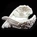 Angel Wings White Tea Light Candle Holder - Set of 2 by Giftbrit