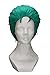 DAZCOS Roronoa Zoro Short Green Anime Cosplay Wig (Green)