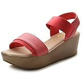 Ollio Women's Shoe High Heel Wedge Platform Strappy Sandal
