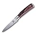 Zaang Paring Knife 3.5 Inch High Carbon Stainless Steel Razor Sharp Blade,Professional Quality Kitchen Knife With Ergonomically Wood Handle