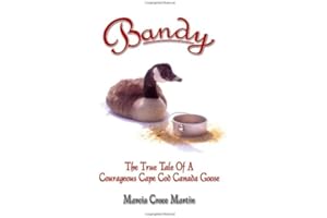 Bandy: The True Tale of a Courageous Cape Cod Canada Goose