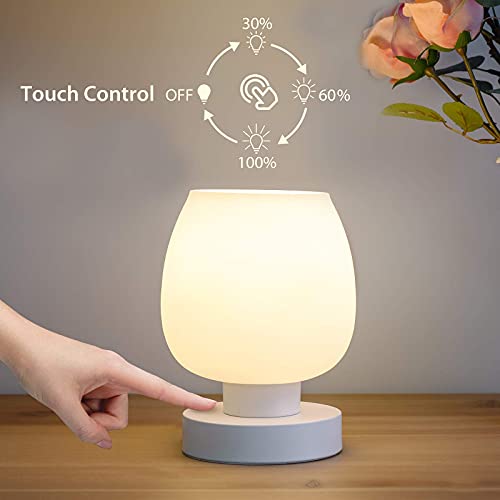 Touch Bedside Table Lamp Modern Small Lamp for Bedroom Living Room  Nightstand, Desk lamp with White Opal Gla