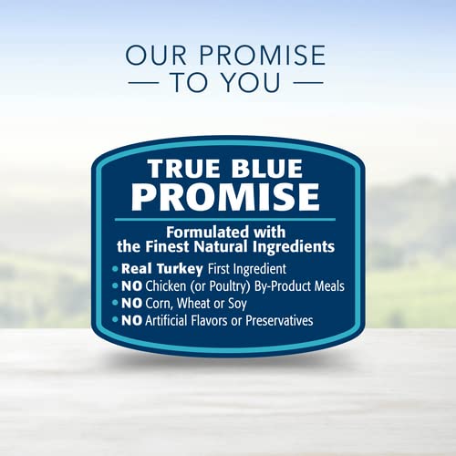 BLUE BUFFALO FAMILY FAVORITE CANNED DOG FOOD, TURKEY DAY FEAST
