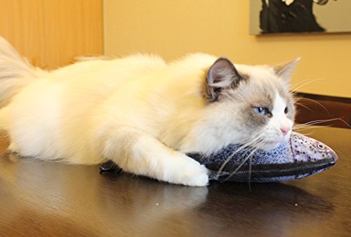 Homeda Fish Toy for Cats, Catnip Fish Toy Pillow for Cat Kitten Kitty