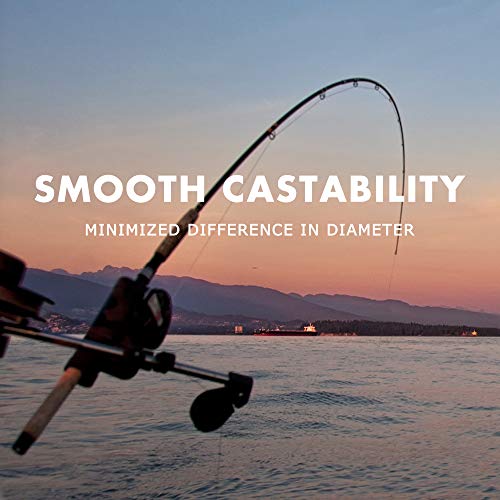 SAPLIZE Fluorocarbon Coated Fishing Line, 10LB, 110Yards, Super