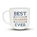 Triple Gifffted Worlds Best Grandparents Coffee Mugs for Grandma and Grandpa Gifts Ideas From Grandkids, Grandchildren, New First Time Grandparent Announcement Christmas Valentines Day, Ceramic 380ml