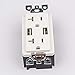 USB Outlet, 4.0A USB Outlet, USB Wall Outlet, USB Charger Outlet, Dual USB Charger with 20A Tamper Resistant Duplex Receptacle (6, White)