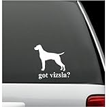 got vizsla? White Decal Sticker Dog Bumper Laptop Car White Decal Sticker 5