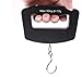 HK 50Kg/10g LCD Digital Hanging Luggage Weight Hook Scale