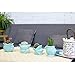 Seashell Succulent Pots 4pcs,Ceramic Planters of Sea Theme with Drainage Hole Cactus/Flower Plant Pots Perfect for Home Office Decor