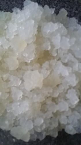 LIVE ORGANIC WATER KEFIR GRAINS by Priddyfair Nutrition
