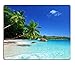 Tropical Paradise Sunshine Beach Coast Sea Palm Trees Mousepad,Custom Rectangular Mouse Pad 9.45
