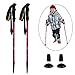 Kids Trekking Poles (Pink)