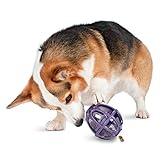 PetSafe Busy Buddy Kibble Nibble Meal Dispensing