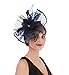 SAFERIN Fascinator Church Feather Mesh Net Veil Party Hat Flower Kentucky Derby Hat with Clip and Hairband for Women (TA1-Large Size Navy Feather Mesh)
