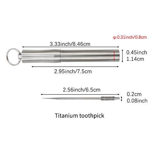 HRX Package Waterproof Stainless Steel Toothpick Holder Keychain with 2 Titanium Toothpicks, Portable Pill Fob Box for Purse Pocket, EDC Tool Kit with Titanium D-ring Locking Carabiner