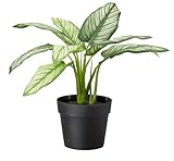 Ikea Artificial Potted Plant, Dumb Cane, 9 Inch