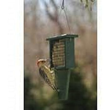 Amazon Com Rubicon Suet Feeder With Tail Prop Hunter Green