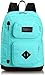 JanSport Austin Aqua Dash One Size