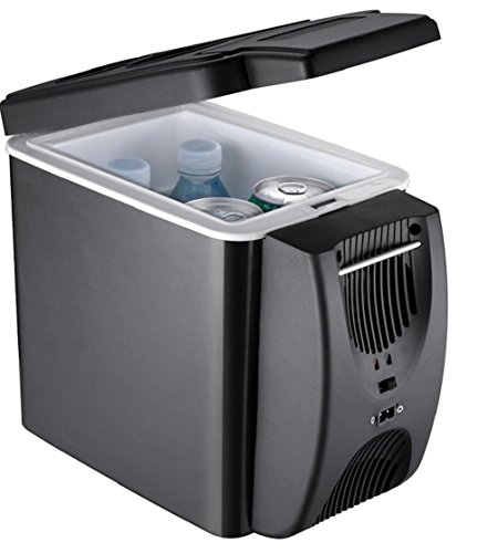 Click Here to See More Images sgtrehyc Mini Portable Car refrigerator Cooler Freezer Car refrigerator Hot And Cold 6L 12V,Black