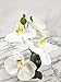 LIVILAN White Silk Artificial Orchids Arrangements with Ceramic vase for Decoration Fake Flowers for Table Centerpiece Home Decor Office Wedding Party Vivid Lifelike