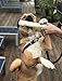 Cowdog Chews Retriever Roll 9-10 inch (15 Pack) All Natural Rawhide Dog Treat Bone