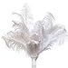 STTQYB Ostrich Feathers, 20Pcs Feathers for Centerpieces, Natural Ostrich Feathers for Wedding Centerpieces Home Decoration (White, 10-12 Inches)