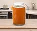 Complete Kombucha Starter Kit with Premium SCOBY Starter for Delicious Brewing- Gallon Brewing Jar, Tea Bags, Temperature Gauge, Organic Sugar and More - By Kitchentoolz