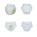 Baby Girls' Training Pants Reusable 5 Pack Toilet Training Underwear Nappy Panties Size 90 2T Medium