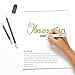 Artistrove Water Brush Pen for Watercolor Painting & Lettering - Assorted Durable Nylon Tips (Pack of 6 Brushes - 2 Fine/2 Medium/2 Broad) | Add to your Artist Collection Now!