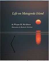 Introduction to Graphic Design Methodologies and Processes: Understanding Theory and Application