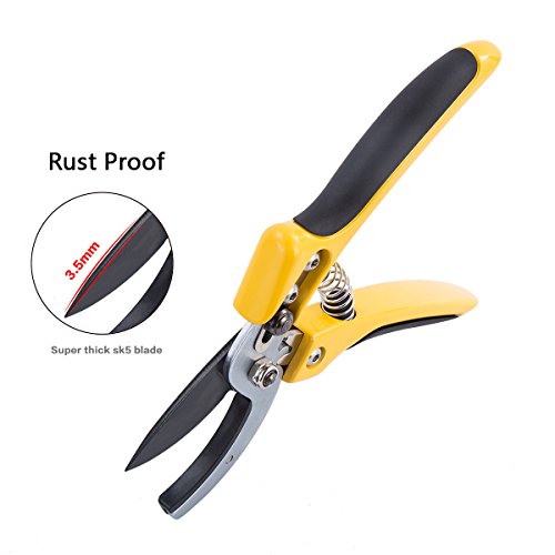 Anvil Pruning Shears 2018 Upgraded 8 inch Professional SK-5 Steel Blade Sharp Gardening Scissors Flower Hand Pruners Garden Clippers,Reduce Hand Fatigue