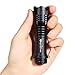OxyLED OxyWild MD22 Mini Zoomable Rechargeable CREE LED Flashlight Torch, 14500 Li-ion Battery Included