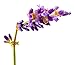 Greenfire All Natural Massage Oil Candle, French Lavender, Travel Size 1 Fluid Ounce