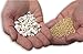Mini Pops Air Popped Sorghum - Sea Salt 4 Ounce (4 packs)