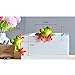 COGEEK 3D Peep Frog Funny Car Stickers Rearview Mirror Computer Ornaments (A)