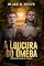 Livro A Loucura do Ômega: romance de lobisomem gay (Contos da Matilha Telúrica Livro 4)