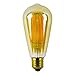LIGHTSTORY ST19 4.5W Tinted Vintage LED Edison Bulb 50W Equivalent, E26 Base, 2200K, Non-dimmable