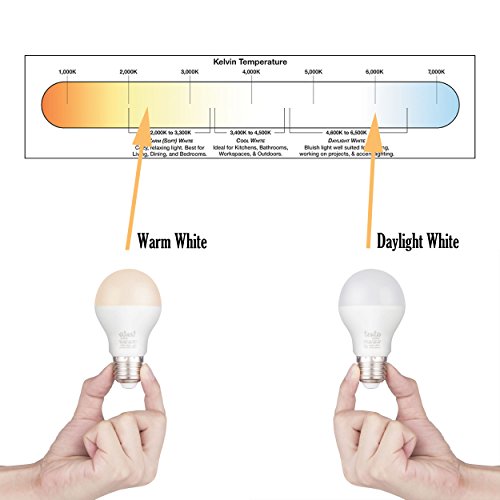 Tento LED 12 Volt Bulbs 10W A19 12Volt Bright White Color Low Voltage