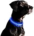 ILLUMISEEN LED Dog Collar USB Rechargeable - Bright & High Visibility Lighted Glow Collar for Pet Night Walking - Weatherproof, in 6 Colors & 6 Sizes (Blue X-Large)